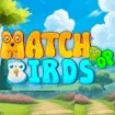 Match Pop Birds